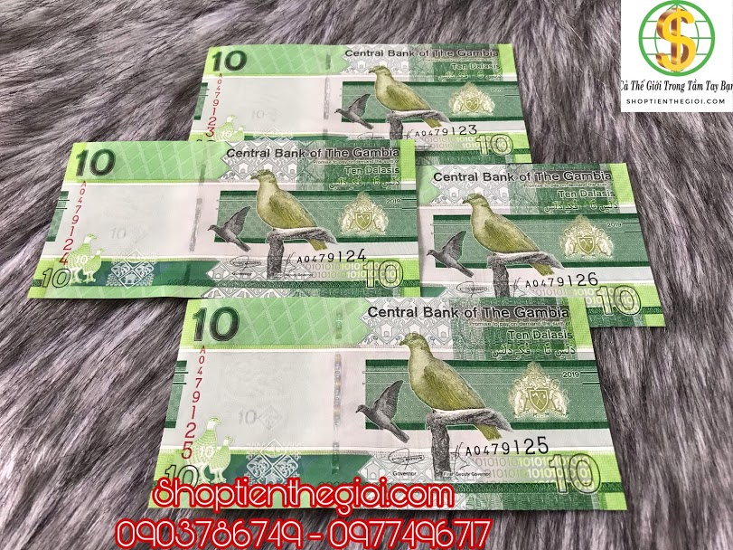 Gambia 10 dalasis 2019 UNC